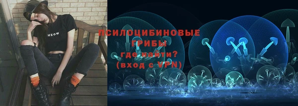 apvp Алексин