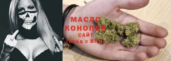 apvp Алексин