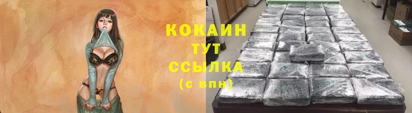 шишки Переславль-Залесский