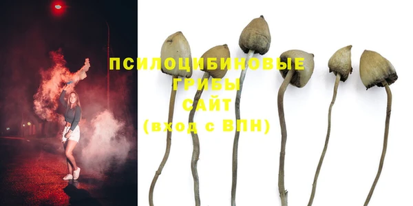спиды Алзамай