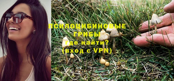 спиды Алзамай