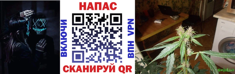 Каннабис Amnesia Покров